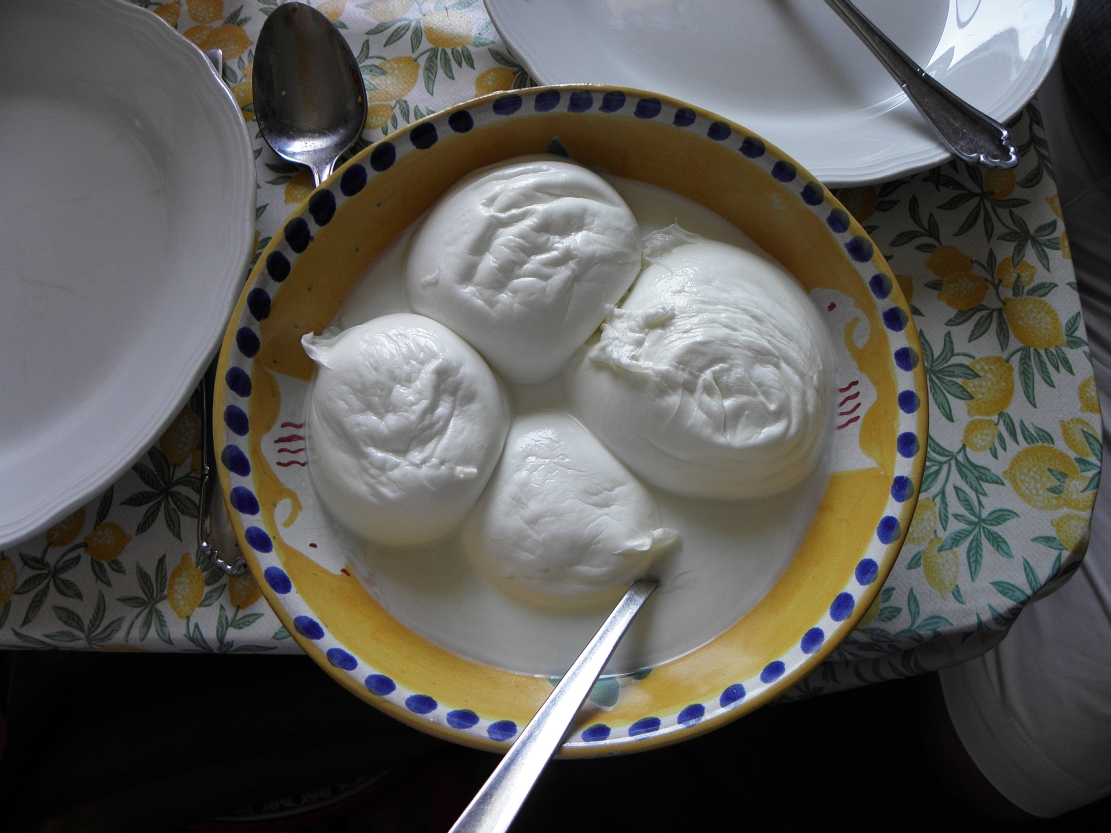 Mozzarella di bufala campana, prodotto tipico del territorio